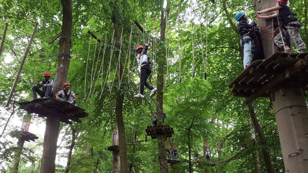 Kletterwald