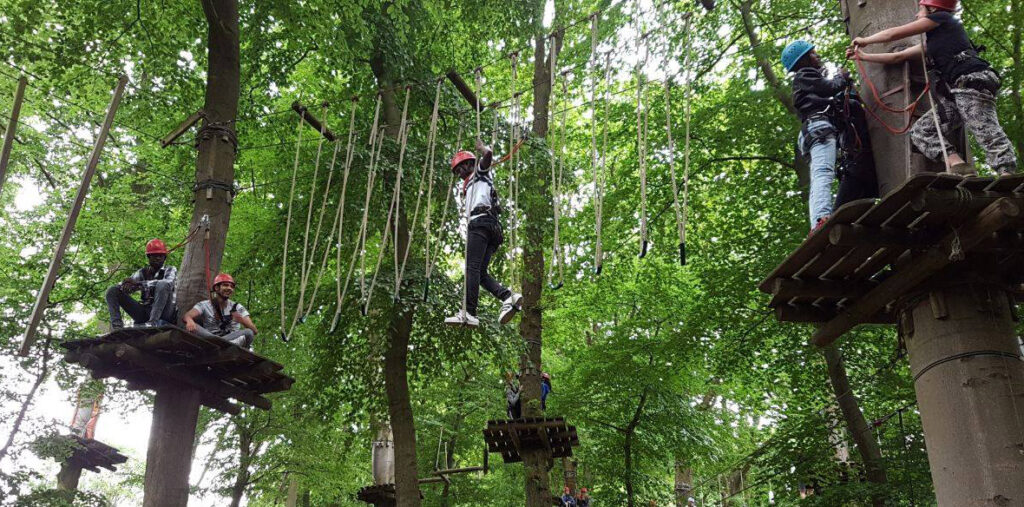 Kletterwald